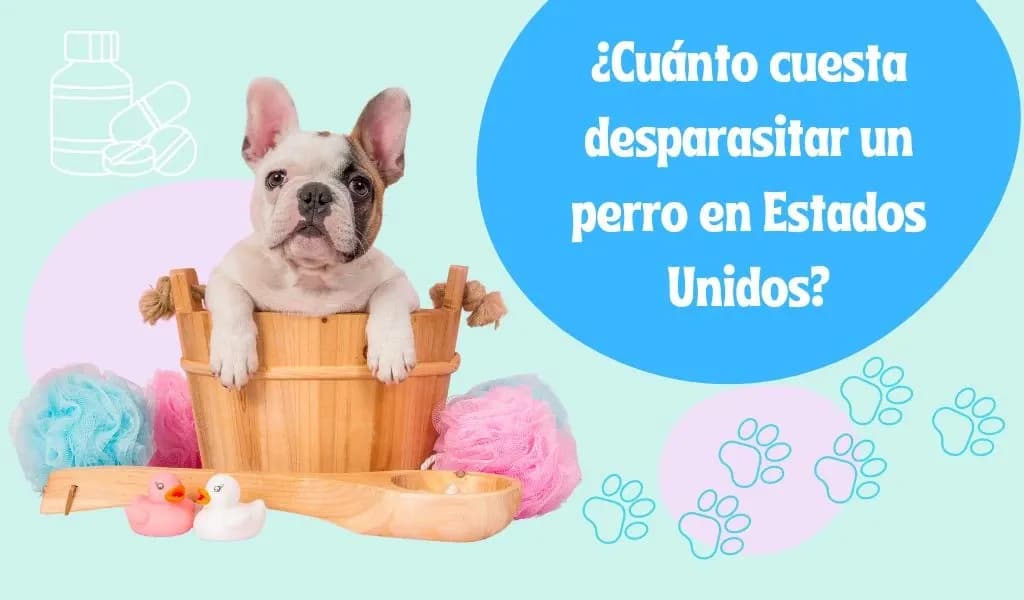 ¿Cuánto cuesta desparasitar un perro y evitar problemas de salud?