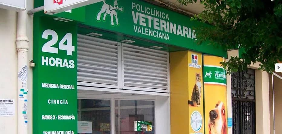 Veterinario La Estación: servicios esenciales y atención 24 horas Veterinario La Estación: servicios esenciales y atención 24 horas