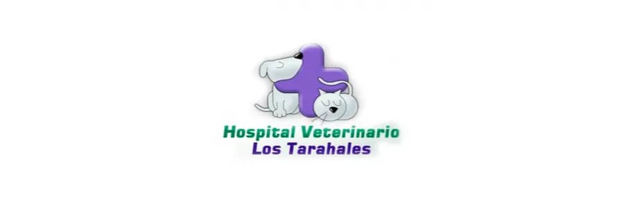 Clinica veterinaria Los Tarahales: servicios, ubicación y opiniones reales