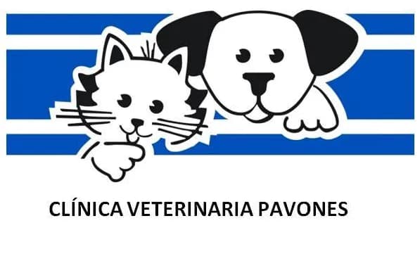 Clínica Veterinaria Pavones: Atención cercana para el bienestar de tu mascota