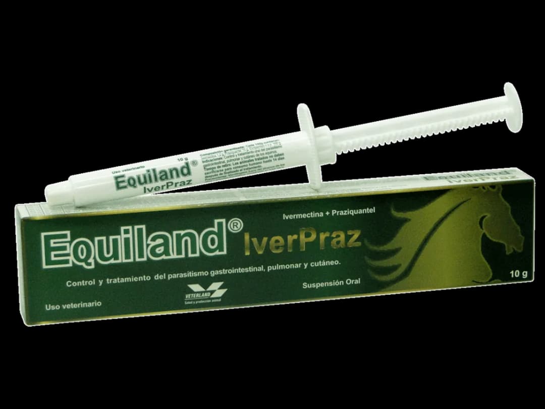 Los mejores desparasitantes para caballos: eficacia y recomendaciones