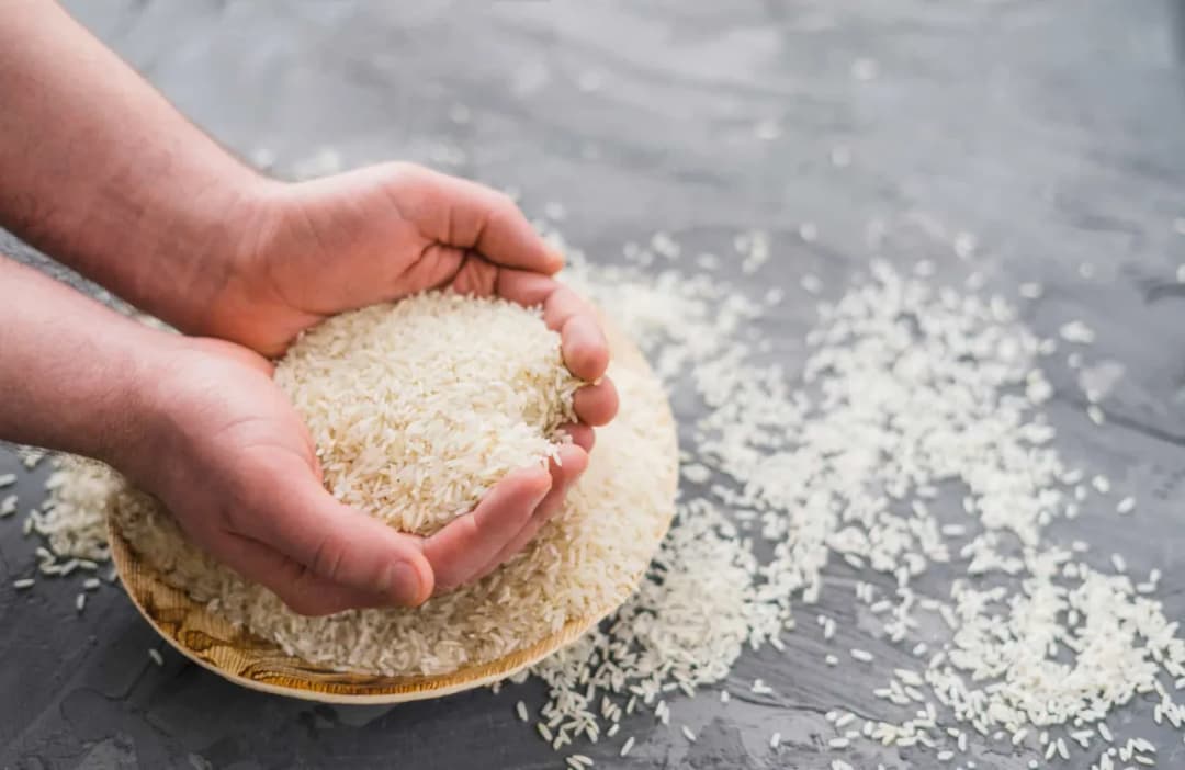 ¿Es bueno el arroz para los perros? Beneficios y riesgos a considerar