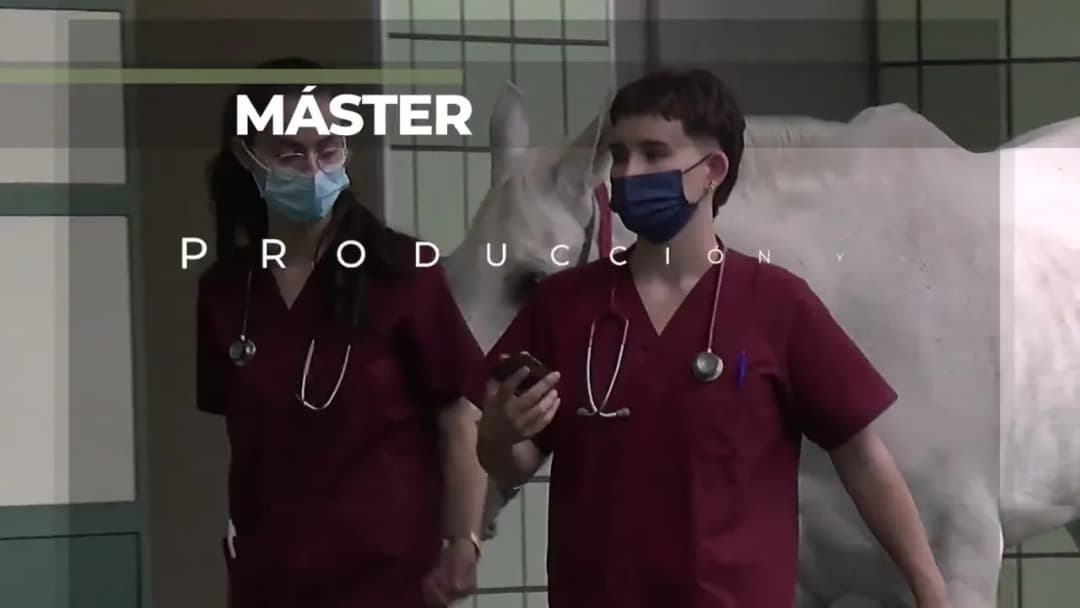 Facultad de veterinaria UCM: historia, programas y requisitos de admisión