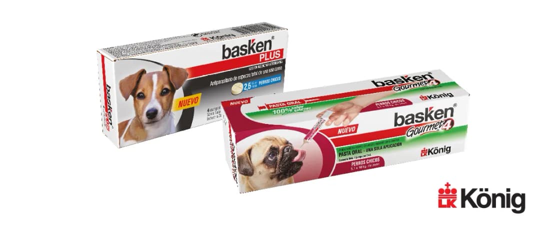 Desparasitación interna perros: ¿cada cuánto debes hacerlo para su salud?