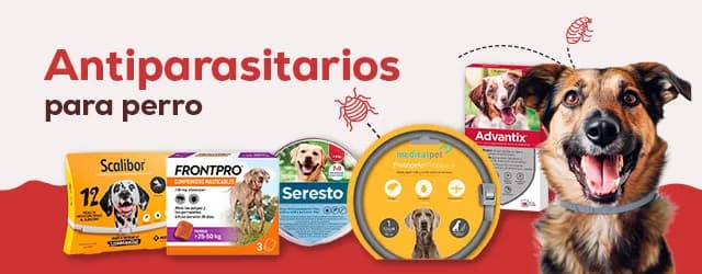 Los mejores desparasitadores para perros: protege a tu mascota hoy