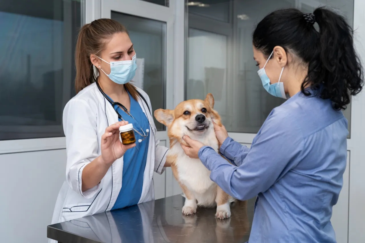 Clínica Veterinaria Torrero: atención cercana y servicios de calidad en Zaragoza